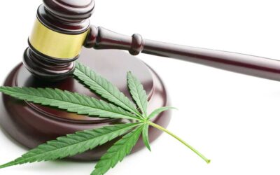 Marijuana Impairment and DUI