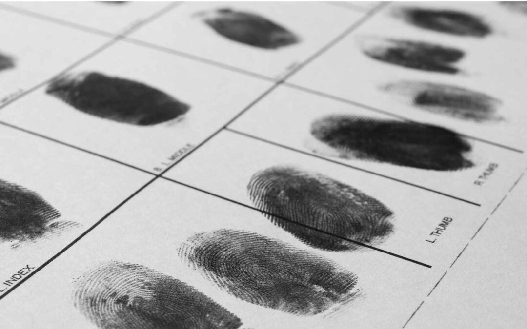 Deciphering Colorado’s Most Common Felony Charges: What You Need to Know