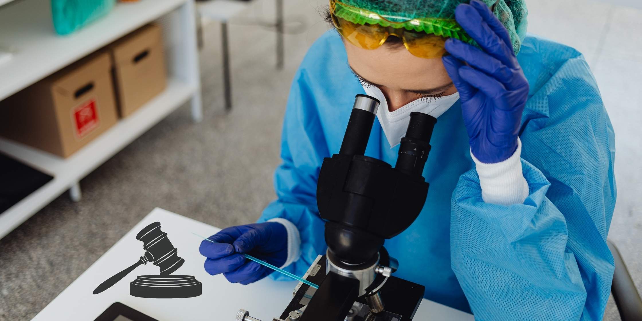 forensic-lawyer-scientist-joe-maher Attorney Joe Maher reviewing DUI blood test results and scientific charts in a Colorado Springs law office. Forensic lawyer-scientist Joe Maher.